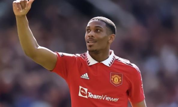 逐步构建了 逐步构建了